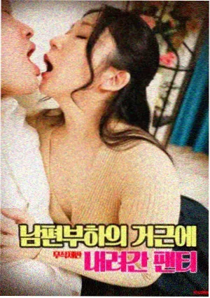 番剧出海数据报告配图